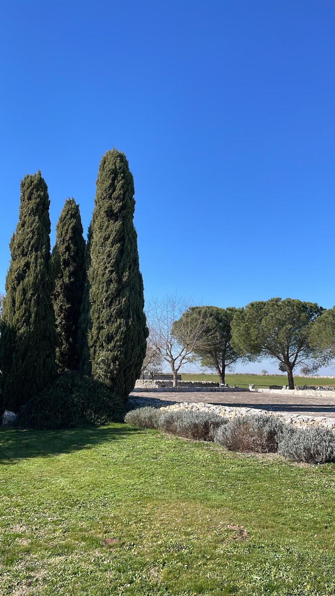 Masseria La Mandra Noci Exterior photo